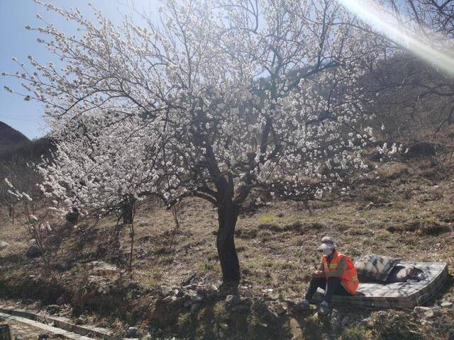 清明前后 昌平山区加强防火管理