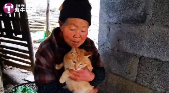 蓉二的奶奶还有一起生活的大橘猫