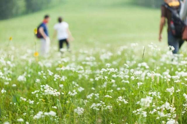 今日，清明