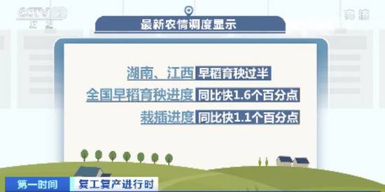 记者实地探访我国粮食主产区，今年创了一个之最！