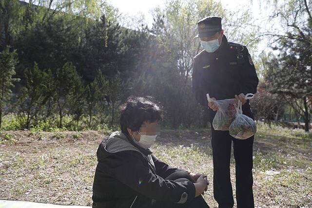 奥森公园又现挖野菜“大军” 城管现场没收工具