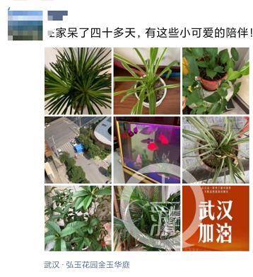 ▲3月7日，无症状感染者大刘发朋友圈说，自己已经关了40多天了。朋友圈截图