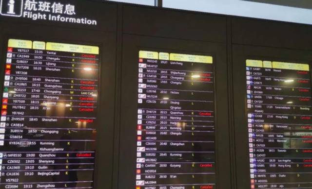 之前，每天的航班仍旧不少浦东国际机场海关供图