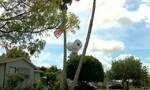 美国佛罗里达州工匠Donald Ryan在家门前两棵大树上悬挂起巨型木制厕纸卷