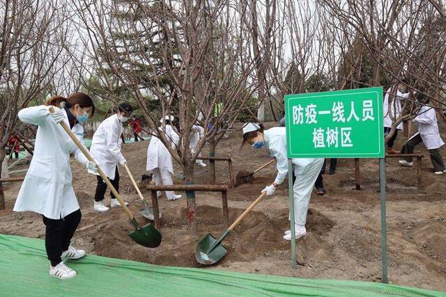 疫情防控一线人员代表参加植树 助北京游乐园变身公园