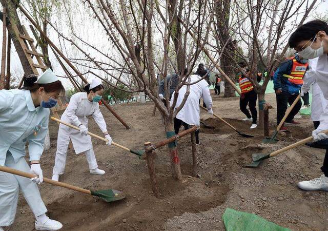 疫情防控一线人员代表参加植树 助北京游乐园变身公园