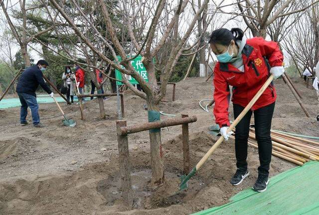 疫情防控一线人员代表参加植树 助北京游乐园变身公园