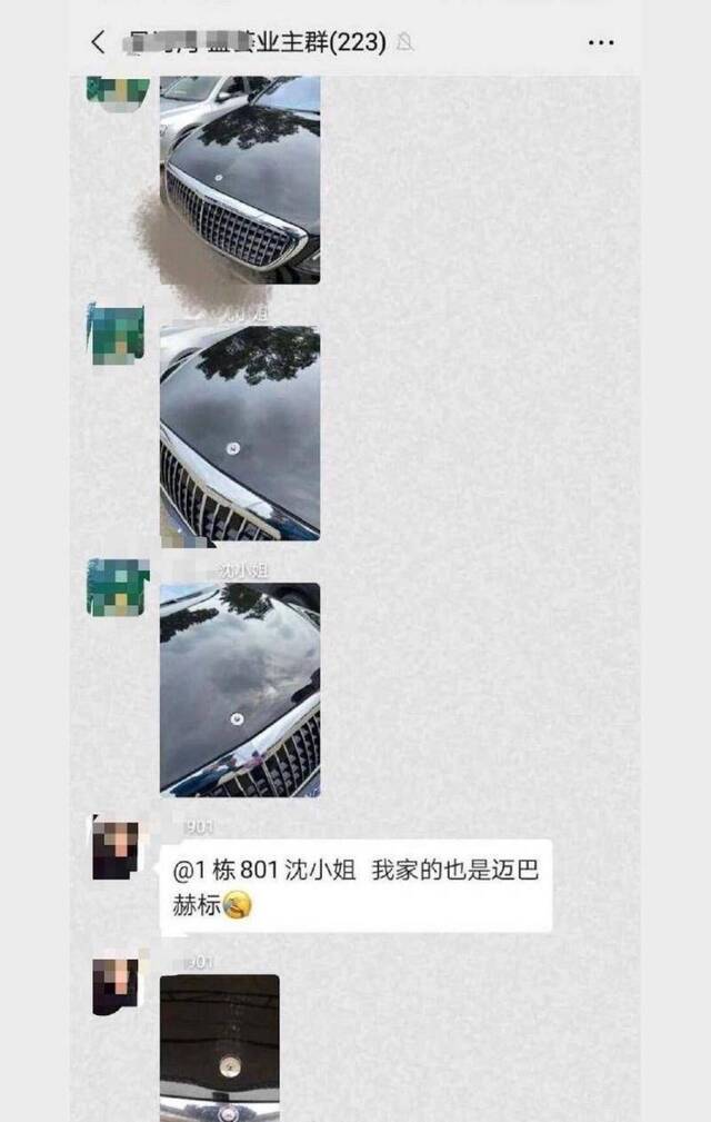 北京星河湾小区男童折断多个豪车车标？事发地为广州