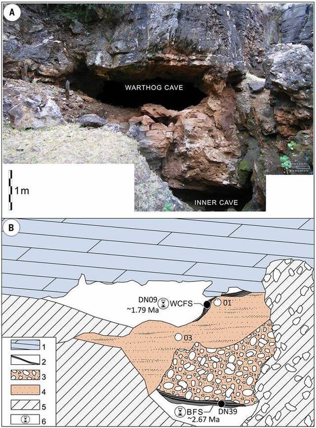 南非曾是3种古人类的家园德里莫伦遗址出土200万年前非洲最古老直立人