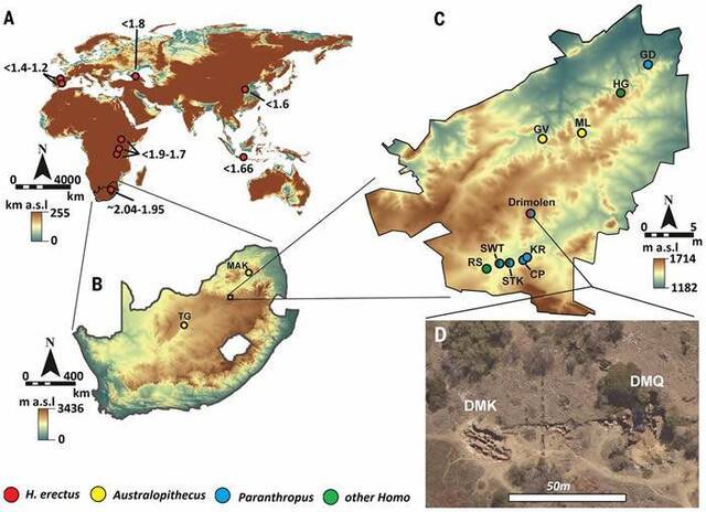 南非曾是3种古人类的家园德里莫伦遗址出土200万年前非洲最古老直立人