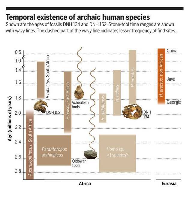 南非曾是3种古人类的家园德里莫伦遗址出土200万年前非洲最古老直立人