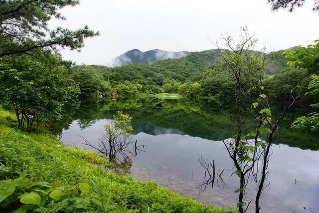 雨后出现独特气味的原因由5亿年历史化学“交流”模式介导