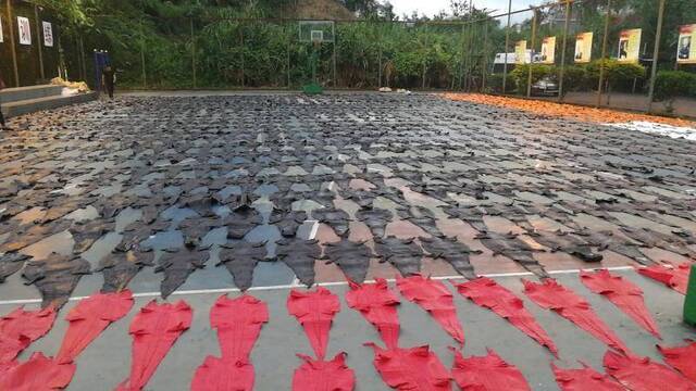 云南红河查获1213张鳄鱼皮制品 展开可铺满球场(图)
