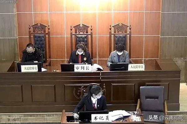 云南迪庆两级法院宣判六起涉野生动物犯罪案：最高获刑13年