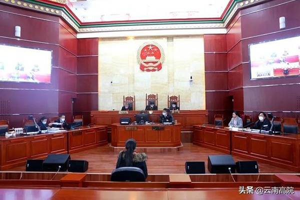 云南迪庆两级法院宣判六起涉野生动物犯罪案：最高获刑13年