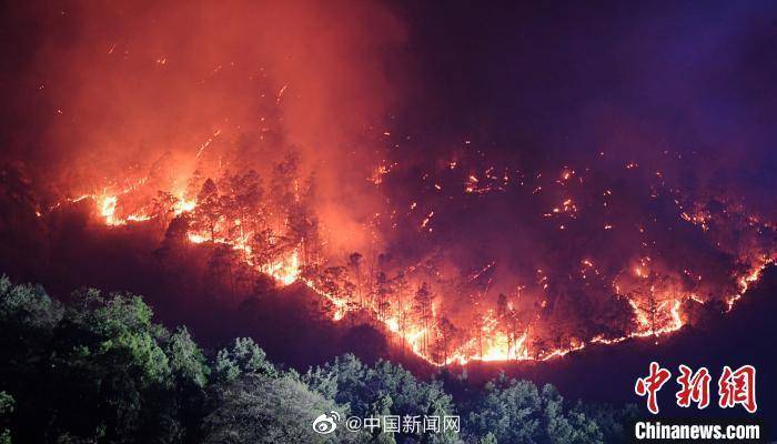 应急管理部：97%以上森林草原火灾是人为原因引发