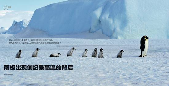 （资料图片）南极雪丘岛上的企鹅群。图/IC