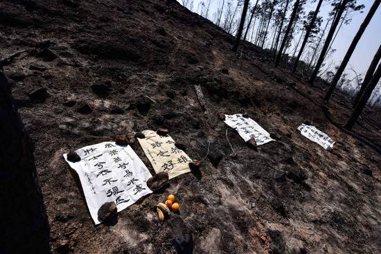 4月3日，在西昌市蔡家沟水库柳树桩旁边的过火林区，当地群众写下挽联祭奠牺牲的扑火队员。新华社记者王曦摄