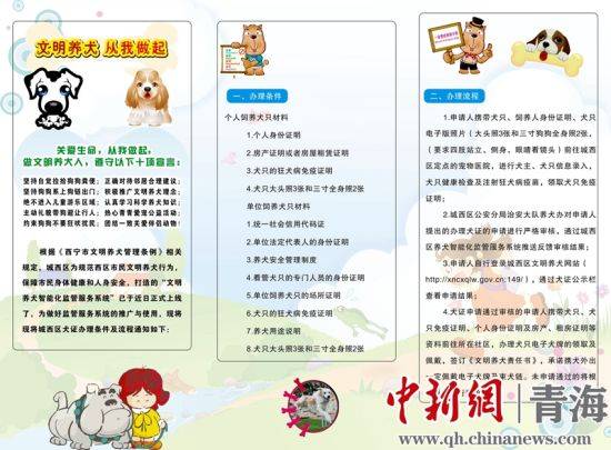 图为城西区电子犬牌办理宣传册。李隽摄