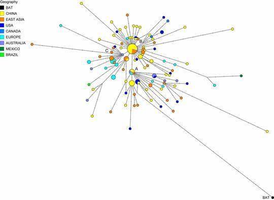 剑桥大学研究人员绘制的基因进化网络