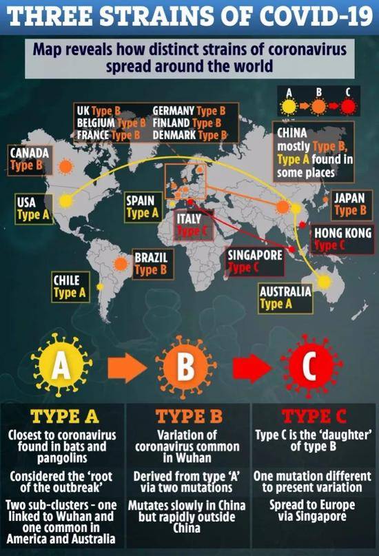 新冠病毒在全球传播中变异成3种不同毒株