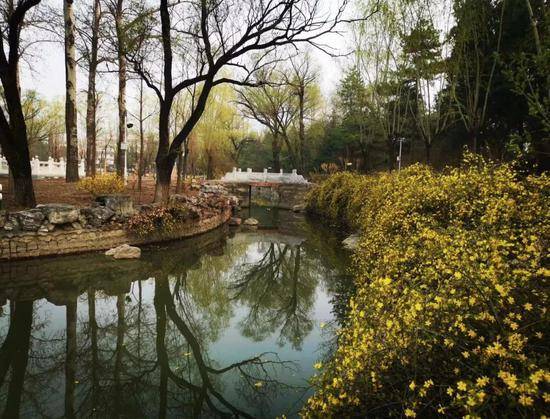 北京小汤山医院院内景色（央广网发北京小汤山定点医院供图）