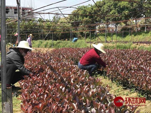 黄冈对安全复工信心十足：我们所有密切接触者早就查遍了