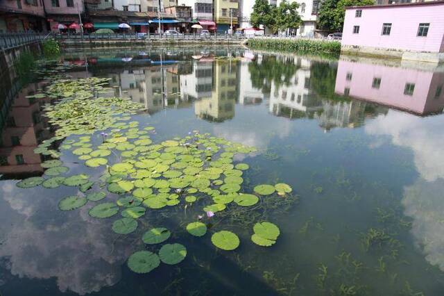 双岗涌鱼塘整治后。