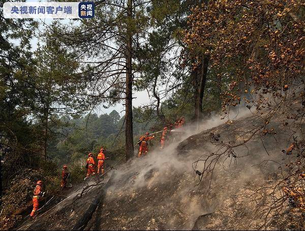 西藏林芝市巴宜区发生山火 救援正在进行