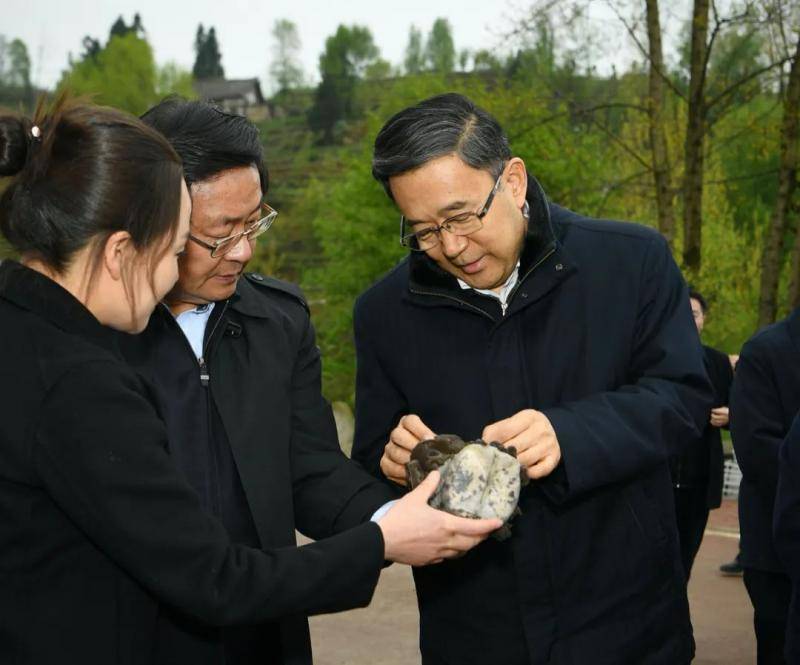 中央约谈县委书记后 省委书记这样说