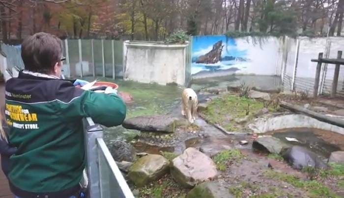 德国新明斯特动物园受到新冠肺炎冲击导致游客减少负责人列出屠宰动物名单