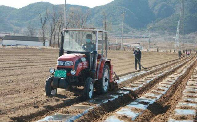 北京延庆11.5万亩玉米即将春耕播种
