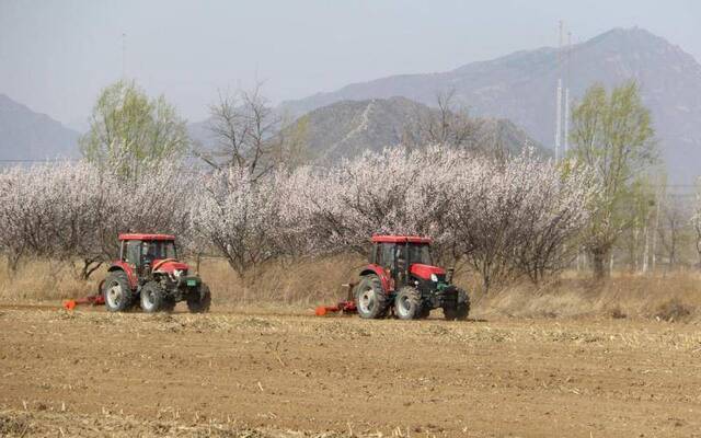 北京延庆11.5万亩玉米即将春耕播种