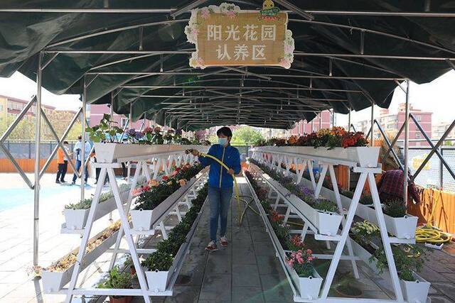 厨余垃圾变身营养土 社区建起屋顶阳光花园 组图