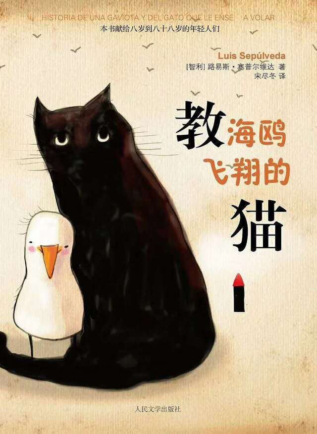 《教海鸥飞翔的猫》