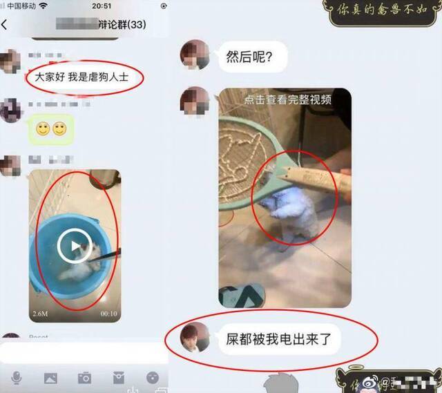 网传涉事男子在QQ群中发布虐狗图片和视频。微博网友图