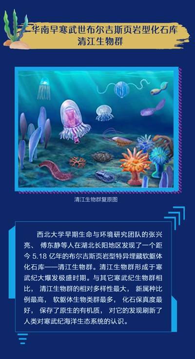 一图读懂  2019年度中国古生物学十大进展
