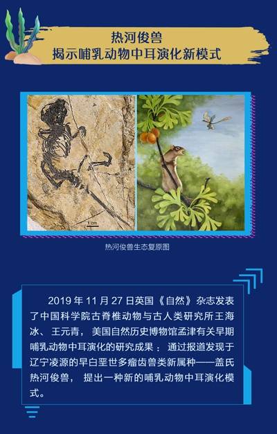 一图读懂  2019年度中国古生物学十大进展