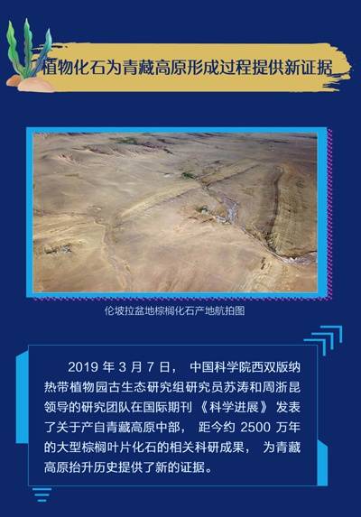 一图读懂  2019年度中国古生物学十大进展