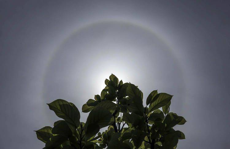 明日谷雨 北京上空出现日晕 组图