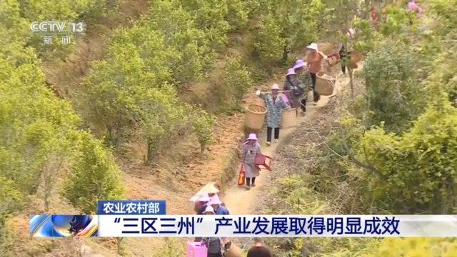 “三区三州”贫困县已引进和培育1200多家龙头企业