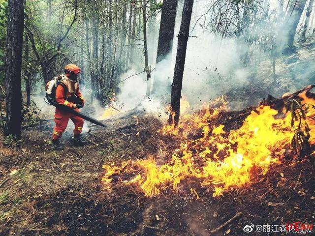 龙蟠乡森林火灾扑救现场