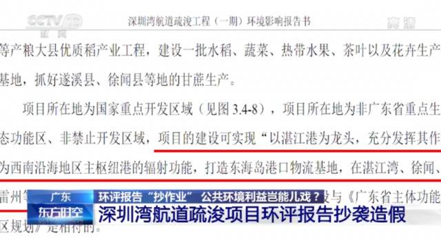 连名字都抄 深圳某项目环评报告竟出现35次“湛江”