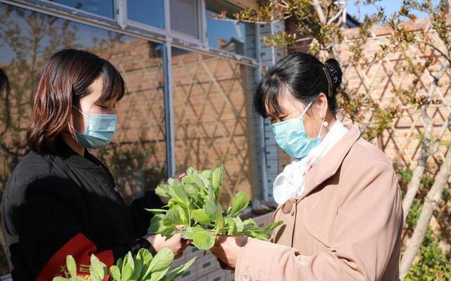 通州潞城大东各庄村将成“百蔬村” 家家户户有迷你田园