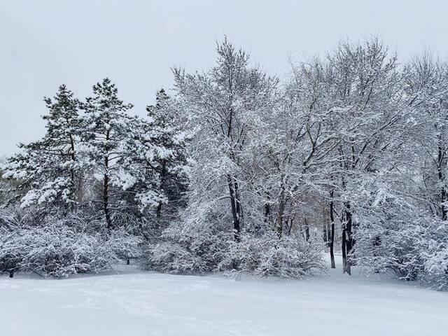 黑龙江发布暴雪红色预警 部分城市降雪量10毫米以上