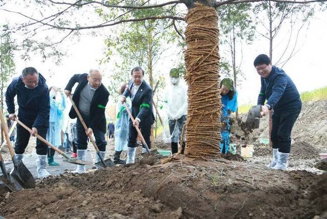 珍贵树种进西湖大学 助推百万亩国土绿化