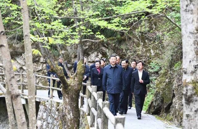 习近平：要做守护秦岭生态的卫士