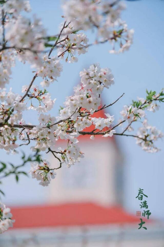 换上“春满师大”手机壁纸，让春天在心中循环播放