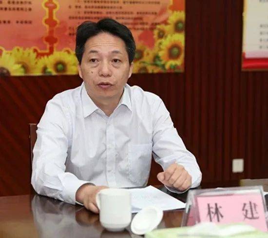 林建任厦门副市长，林飞任福州市委副书记