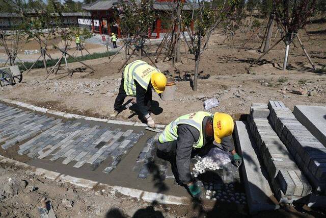 北京百万亩造林完成过半 “城市绿心”金秋亮相 组图